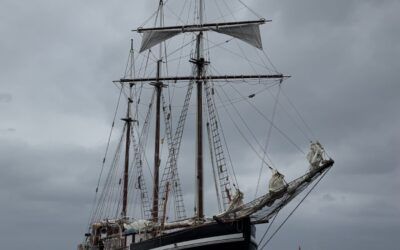 Med25belespoir – jóvenes por la Paz
